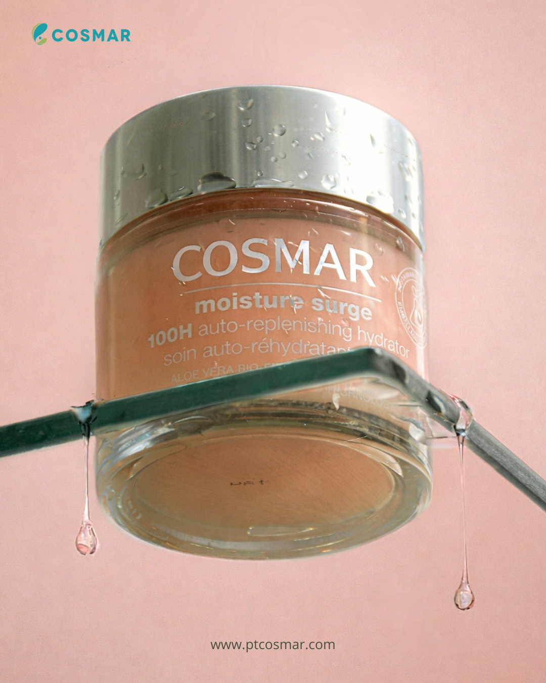 Maklon Kosmetik untuk Pengusaha, Distributor, dan Brand Owner